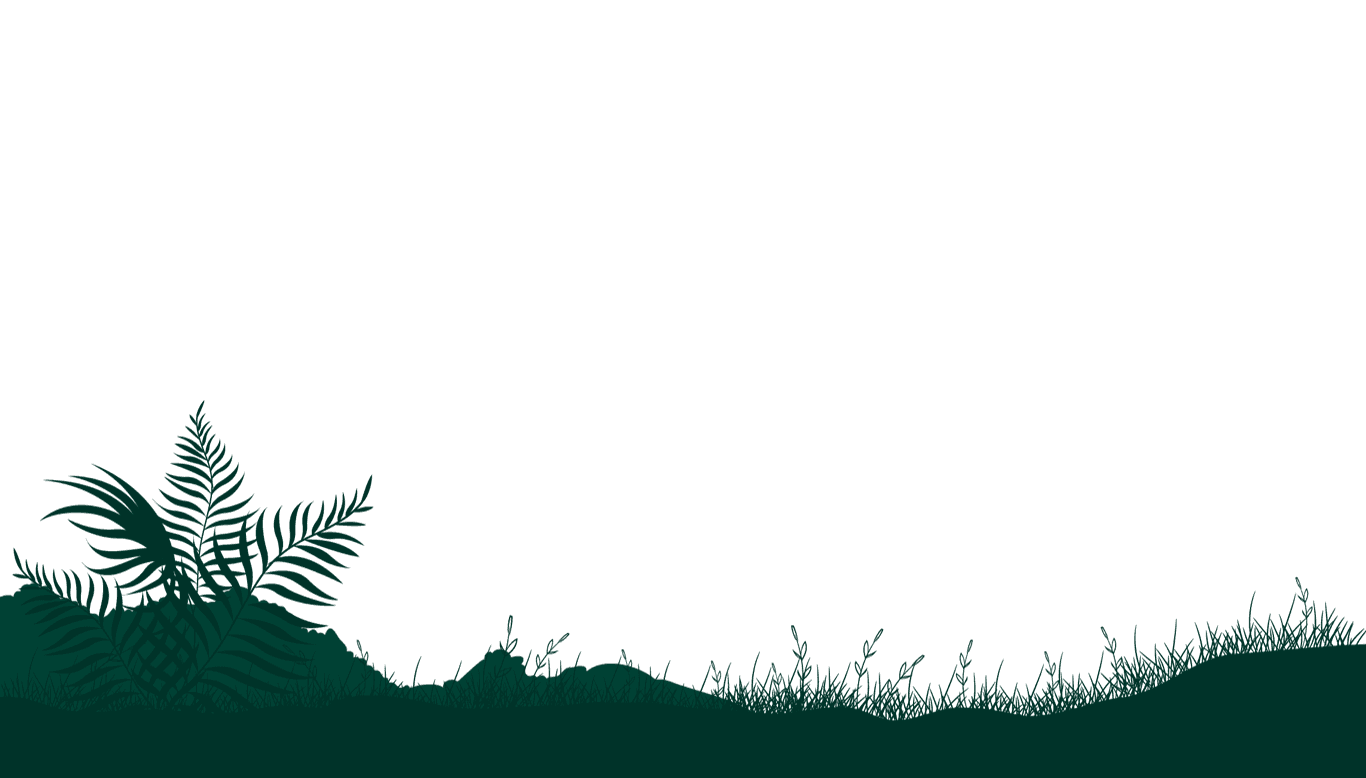 foreground jungle plants