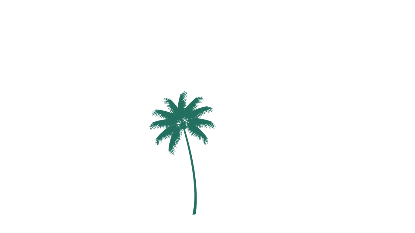 tropical tree silhouette
